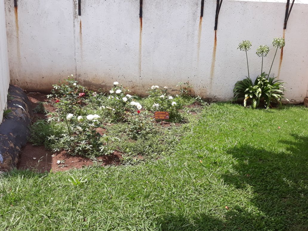 WhatsApp Image 2018-02-07 at 12.19.22