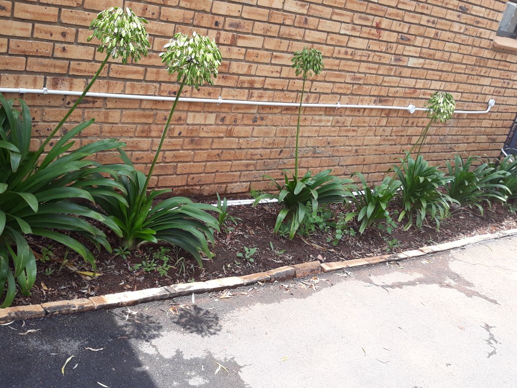 WhatsApp Image 2018-02-07 at 12.19.27(1)