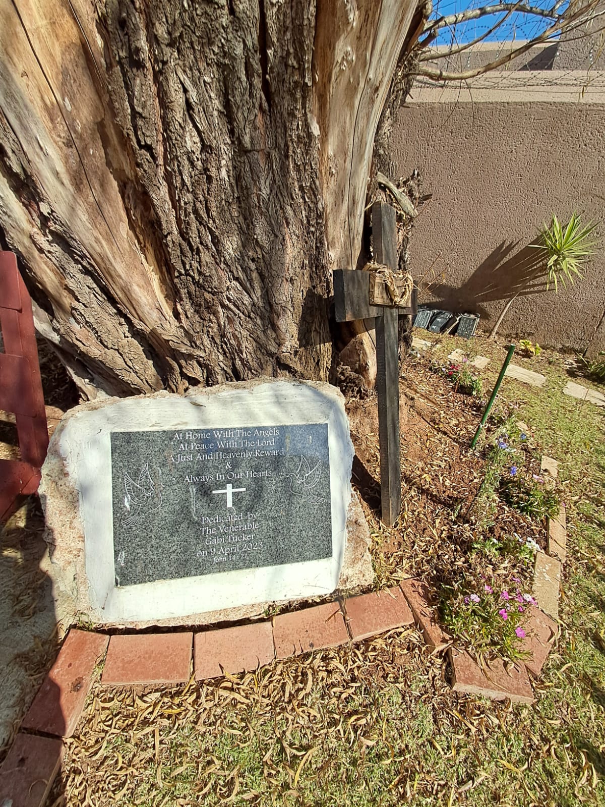 WhatsApp Image 2024-06-22 at 17.38.04_7c1a62b3