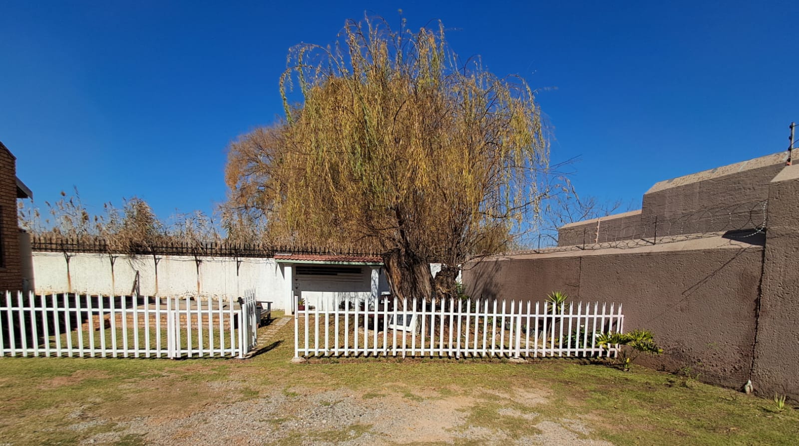 WhatsApp Image 2024-06-22 at 17.38.04_bc8ac7b2