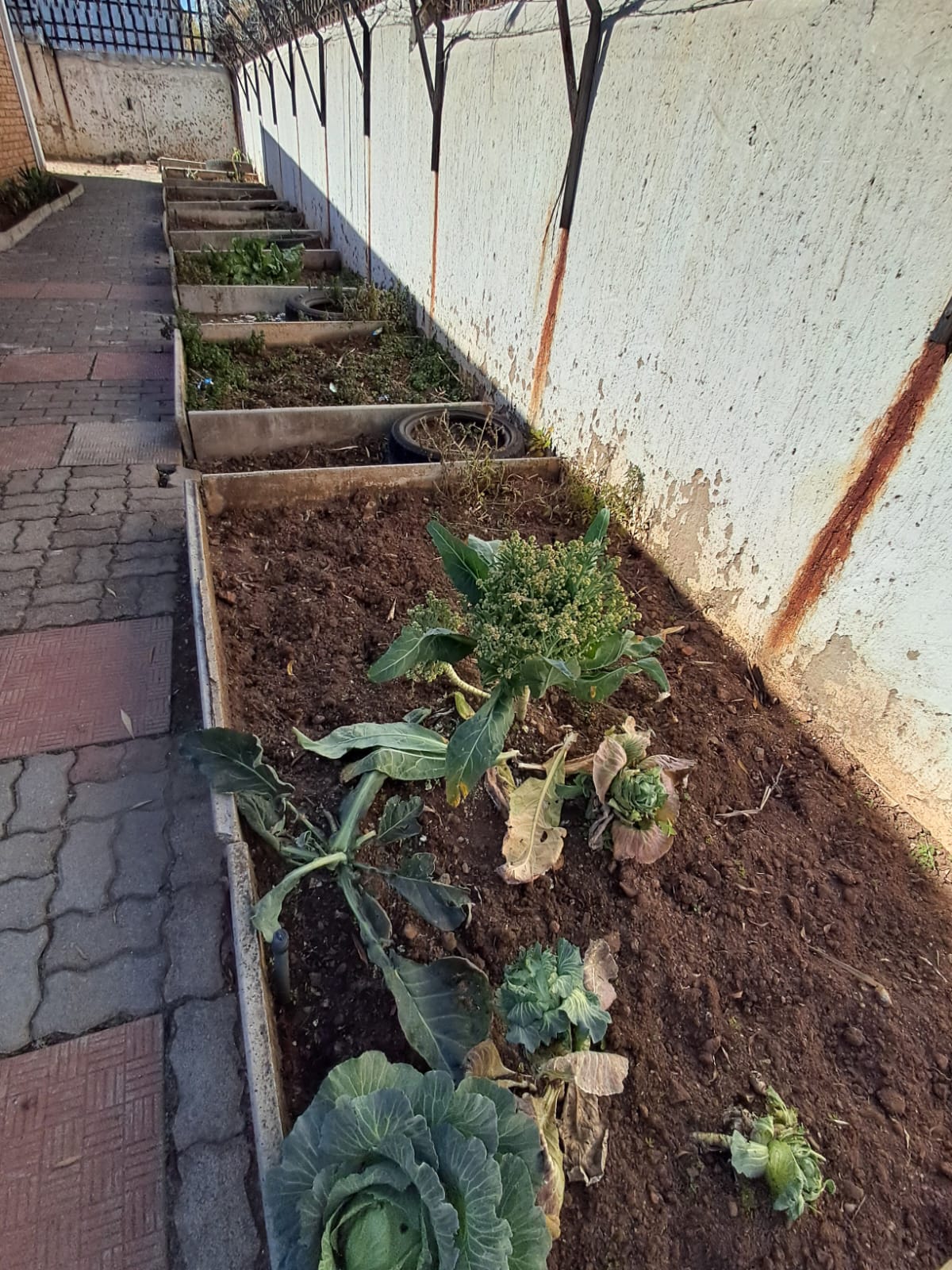 WhatsApp Image 2024-06-22 at 17.38.05_3a815573